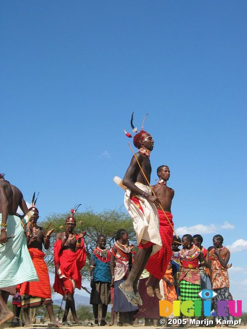 14014 Samburu tribe men jumping